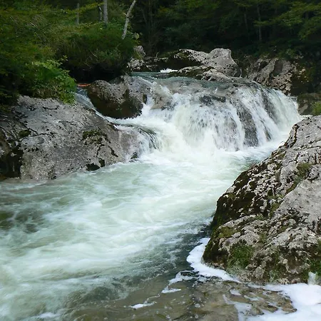 Natura *