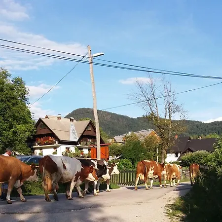 Natura Apartment Bohinj