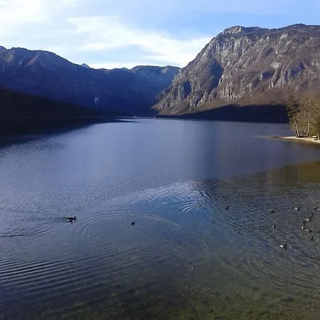 Apartment Natura Bohinj