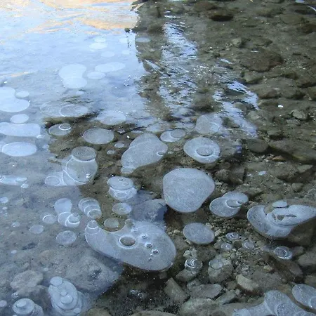 Natura * Bohinj