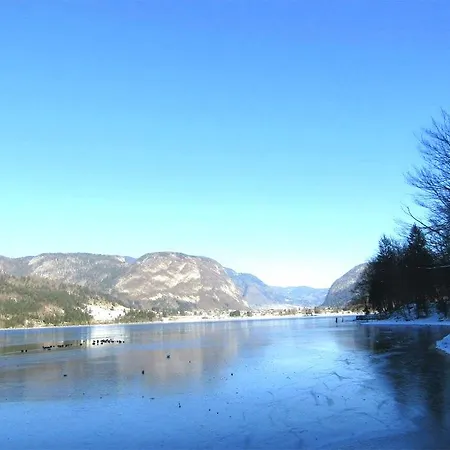 Natura Apartment Bohinj