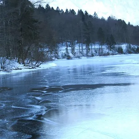 Natura Apartment Bohinj